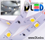   Интерьерная светодиодная лента DLED MLD 6070 Холодный белый IP22